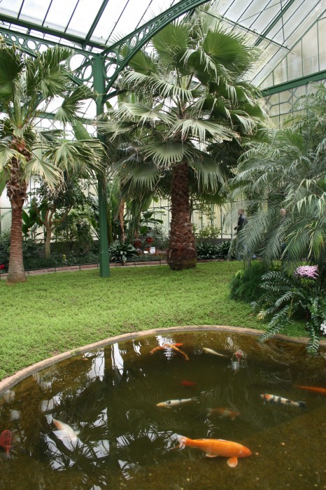 Ogród zoologiczno-botaniczny Wilhelma