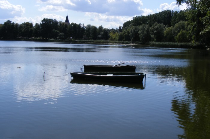 Jezioro Miejskie lub Kuchenne w Międzychodzie.
