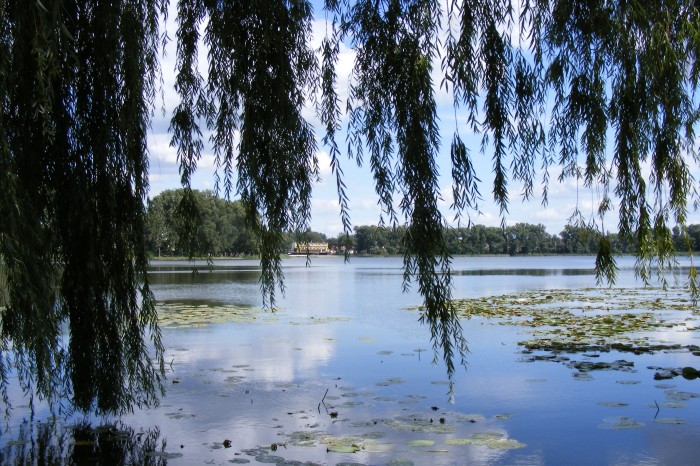 Jezioro Miejskie.