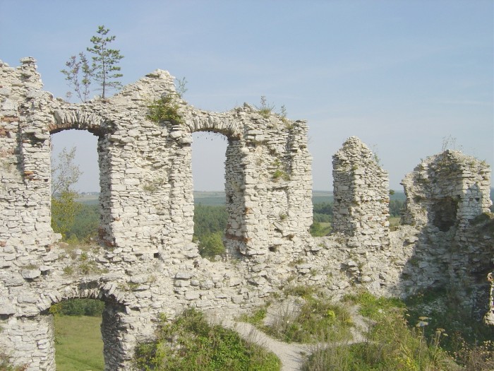 Ruiny zamku w Rabsztynie