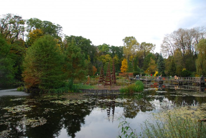 Jesień w Arboretum