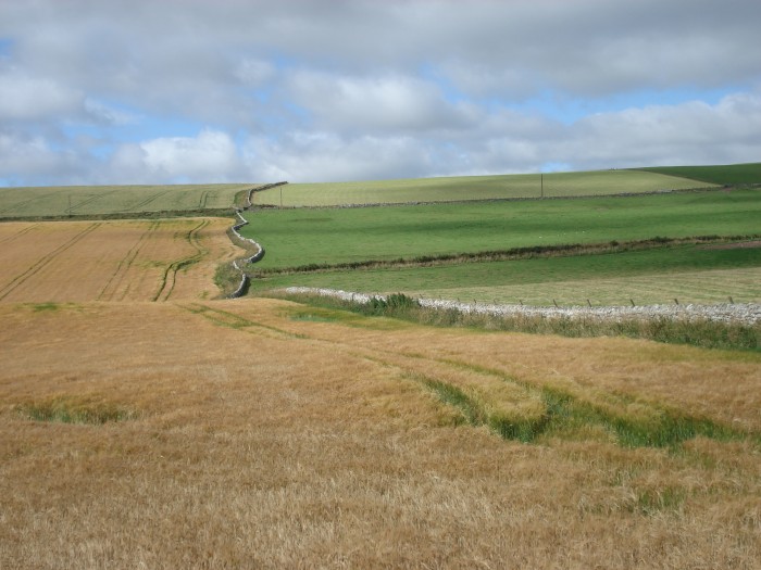 mur graniczny pomiedzy Szkocja  a Anglia