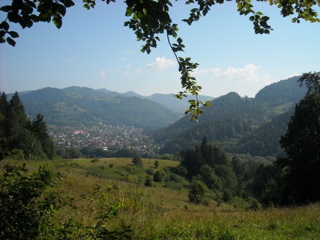 widok na Szczawnicę