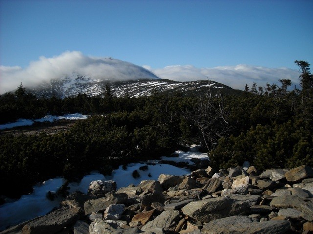 widok na Śnieżkę z Czarnego Grzbietu