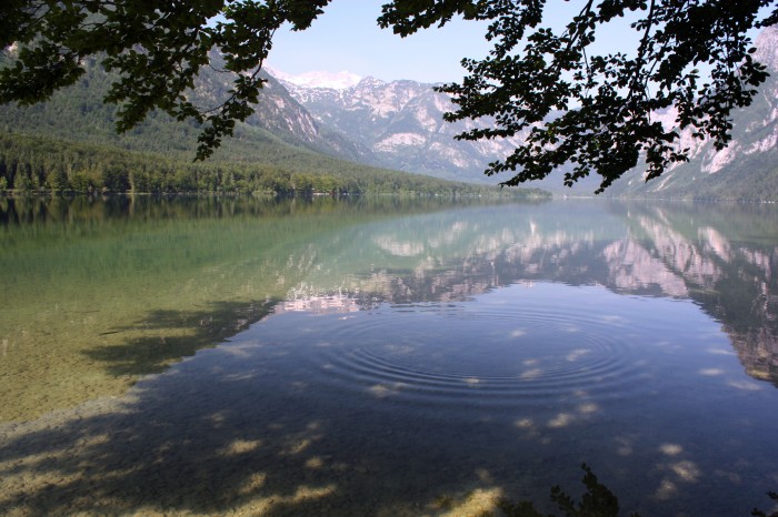 widok na jezioro Bohinj