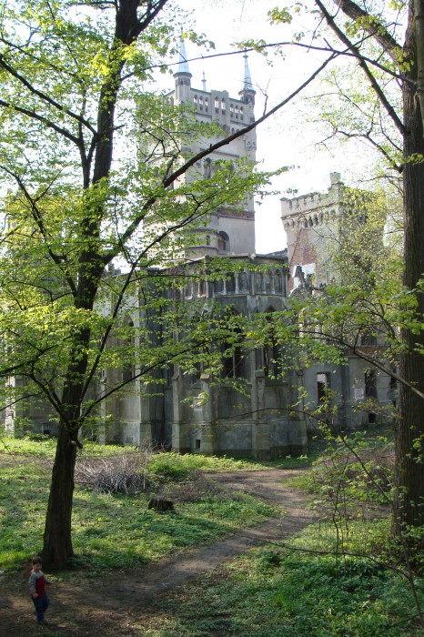 Pozostałości po zamku