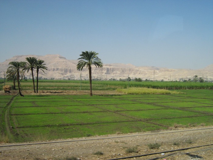 dolina Nilu