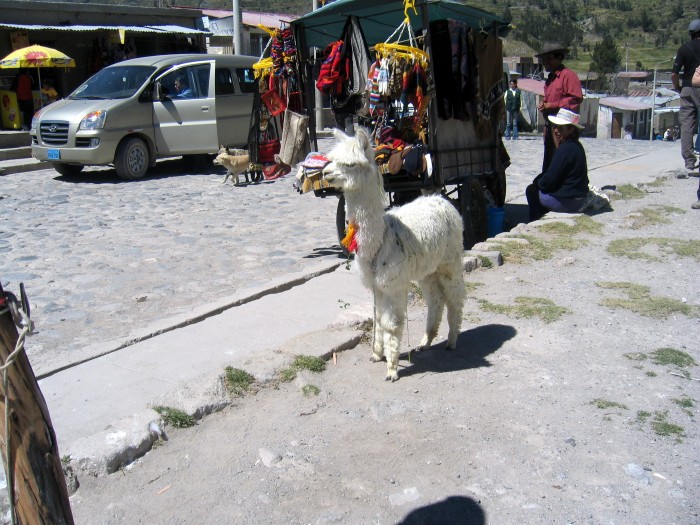 Droga z kanionu do Puno - miasteczko
