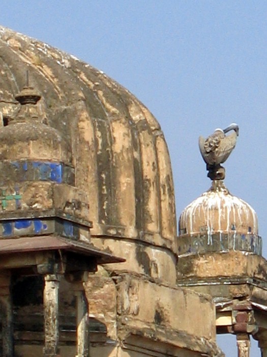 Pałac Dżahangira - Sępy