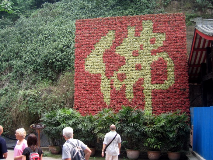 Chiński napis z kwiatów