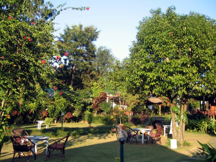 Restauracja w ogrodzie