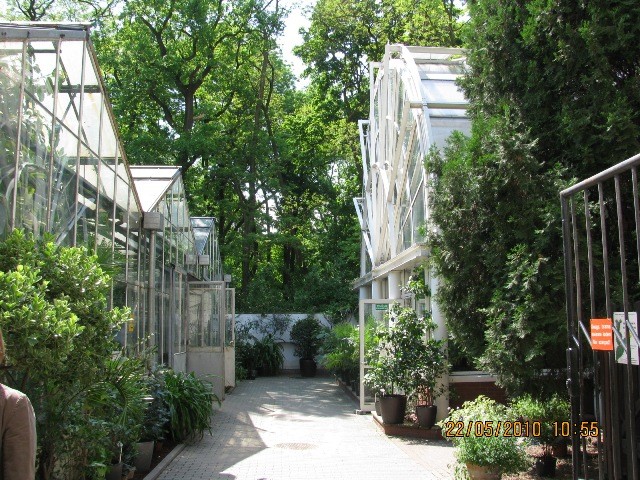 Ogród Botaniczny - oranżeria