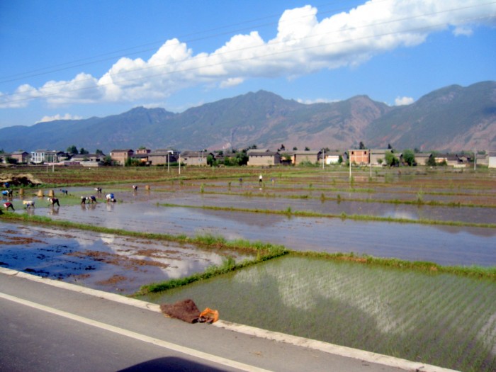 Powrót do Lijiang