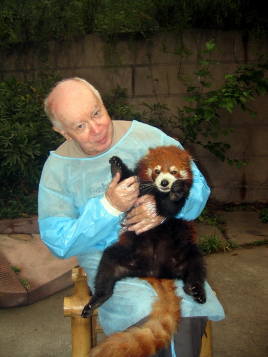 Panda mała i autor