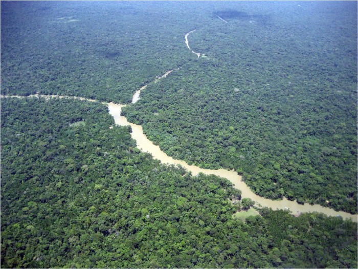 Amazonia by Gunter Engel