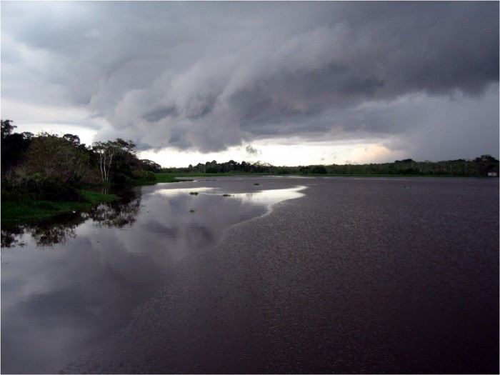 Amazonka fot: Gunter Engel