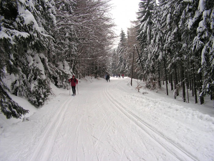 Trasy na narty biegowe
