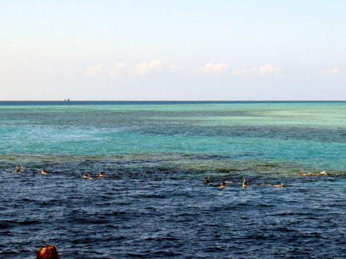 Pływanie nad rafą koralową