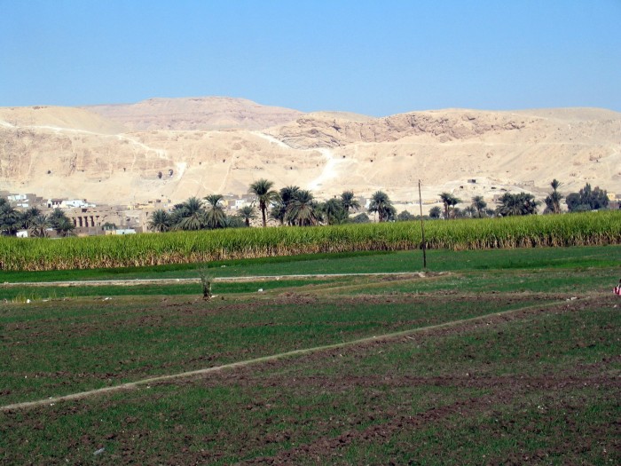 Droga do Kolosów Memnona