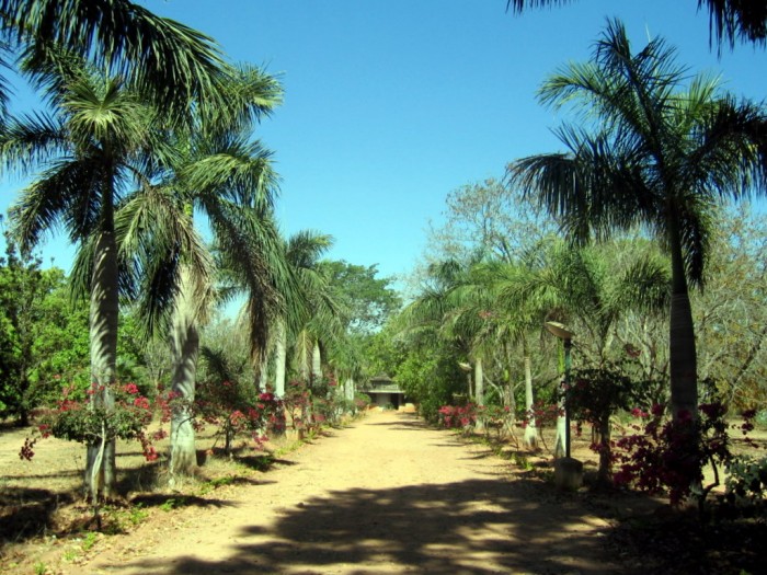 Botanical Garden przy uniwersytecie