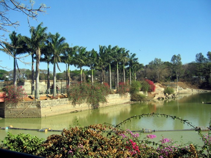 Palmy -Lalbagh, Botanical Garden