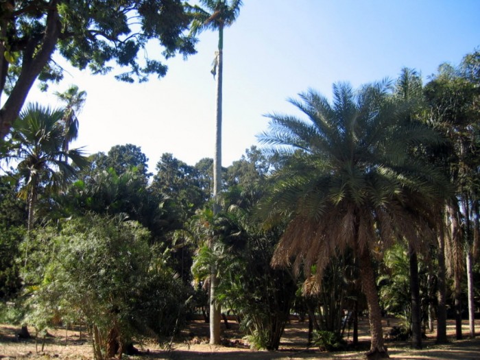 Lalbagh - Botanical Garden