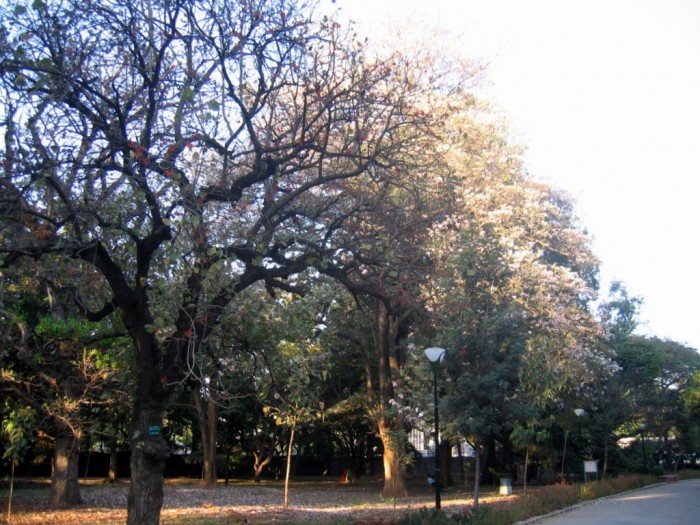 Lal Bagh - Botanical Garden