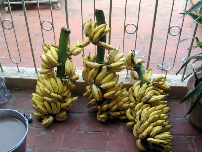 Banany na śniadanie w stołówce