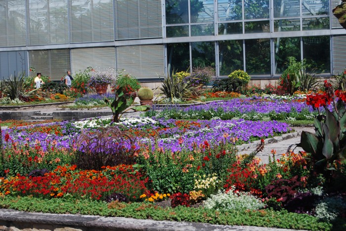 Ogrod Botaniczny