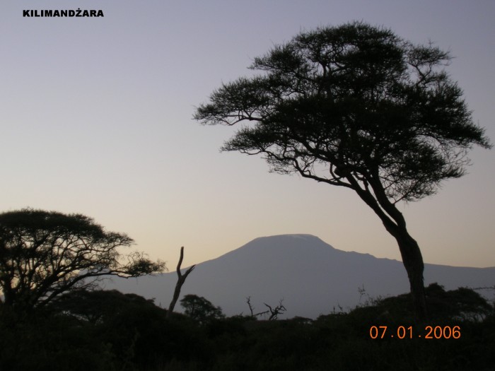 Góra Kilimandżaro
