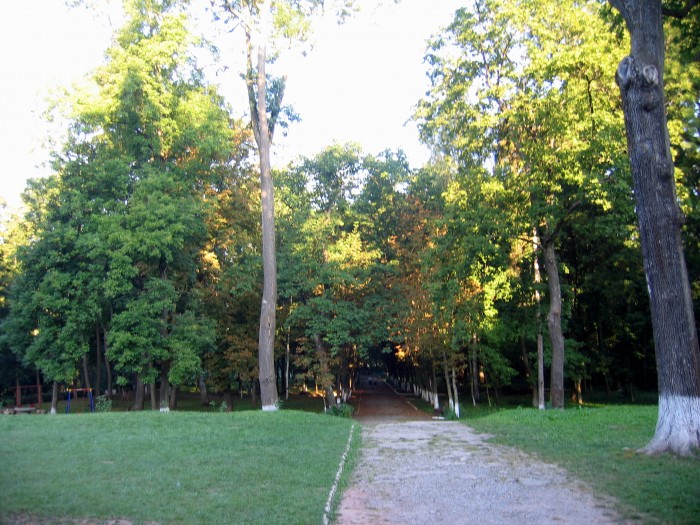 Park przyklasztorny