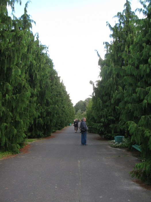 Powsin-Ogród Botaniczny