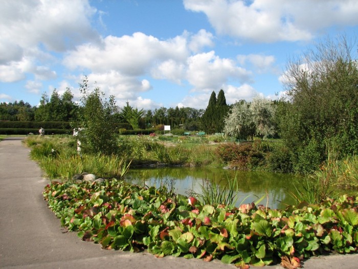 Powsin-Ogród Botaniczny