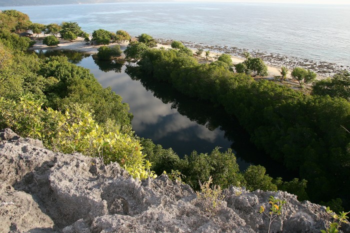 Pumeks, woda i rośliny - taka jest wyspa Sumilion...