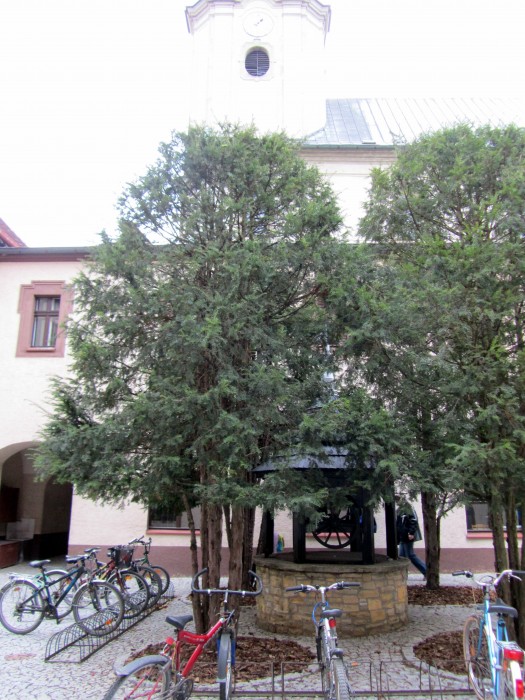 Klasztor Cystersów- Studnia