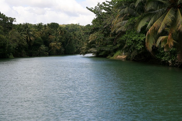 Rzeka Loboc na wyspie Bohol