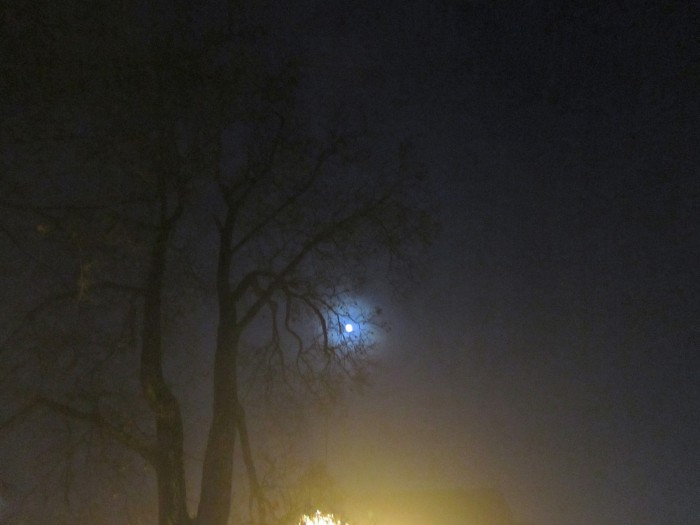 Księżyc we mgle