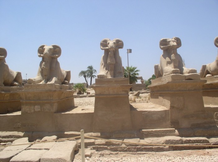 Sfinksy w Karnaku