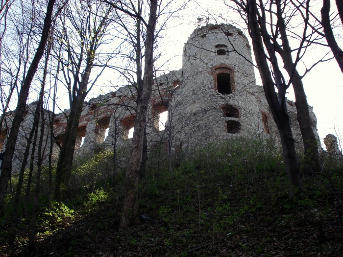 Tenczynek / Zamek