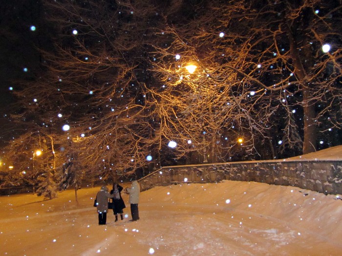 Park Zdrojowy - Padający śnieg