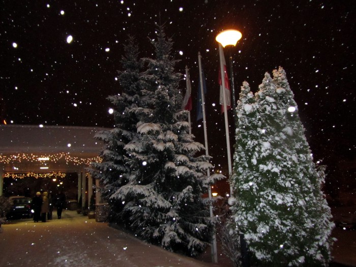 Park Zdrojowy - Padający śnieg