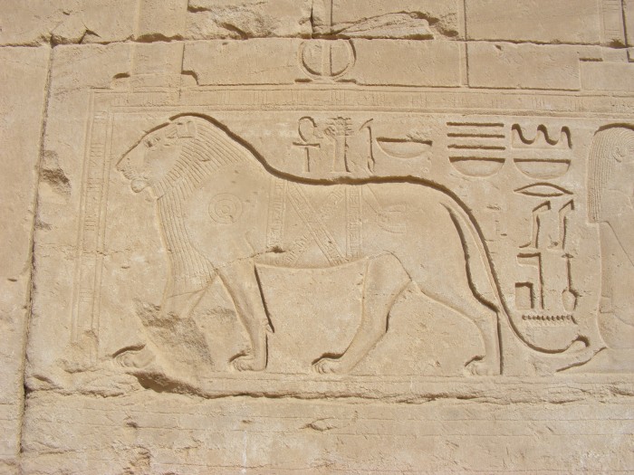 Lew w Świątyni Amona Ra