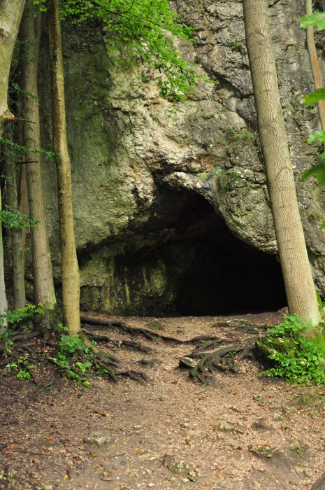 Jaskinia Krowia