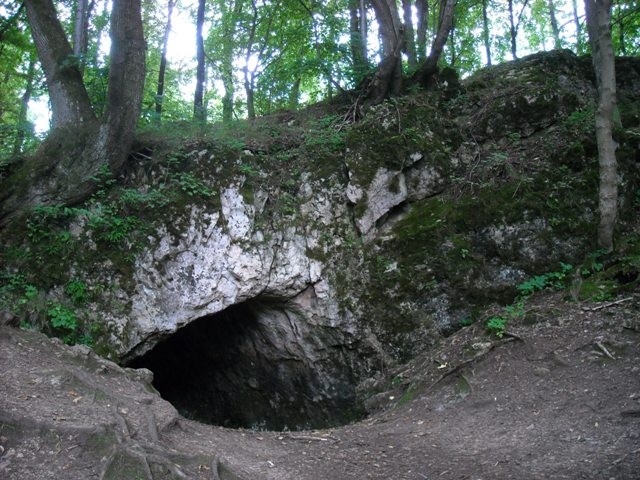 Jaskinia Piekło - w jaskini żyją nietoperze, no a przynajmniej jeden...
