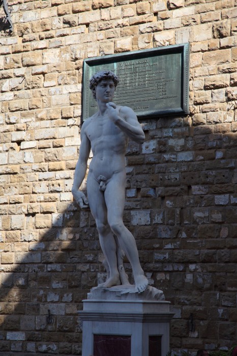 Dawid - rzeźba Michała Anioła (kopia)
