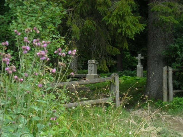 pozostałości cmentarza w Brzegach Gornych