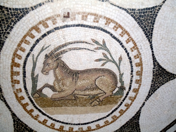 Mozaika w muzeum rzymskim