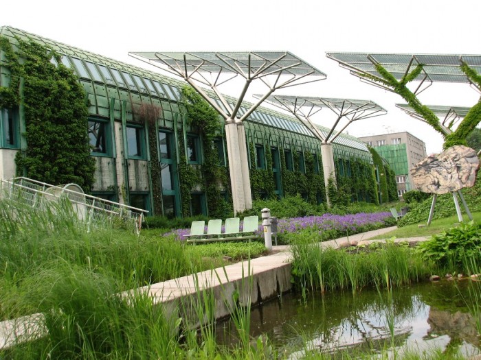 Ogród na dachu Biblioteki Uniwersyteckiej