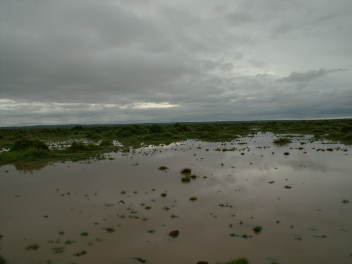 Park Amboseli pod wodą