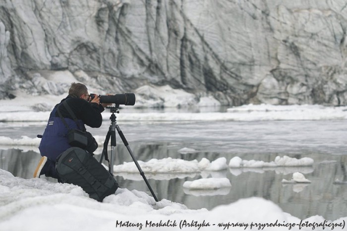 Fotografowanie fok przed czołem lodowca (SIGMA EX 70-200/2.8)